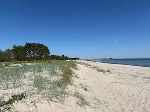 Une plage de sable avec des éoliennes visibles au loin, un ciel dégagé et une végétation clairsemée.