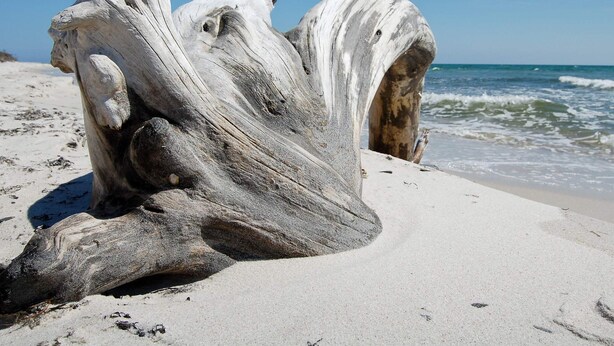 A large driftwood sculpture on a sandy beach with the ocean in the background. - 4 Star Holiday Home in Nexo (Nexø)