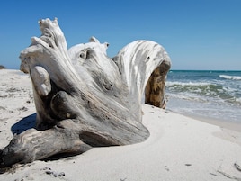 Una playa cerca