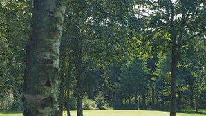 A forested area with a grassy field, trees, and a clear sky. - 4 Star Holiday Home in Nexo (Nexø)