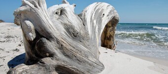 內克瑟 6 人度假屋