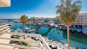 Un marina con imbarcazioni ormeggiate, una palma e edifici sullo sfondo.