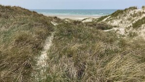 A beach with dunes and a clear view of the ocean.