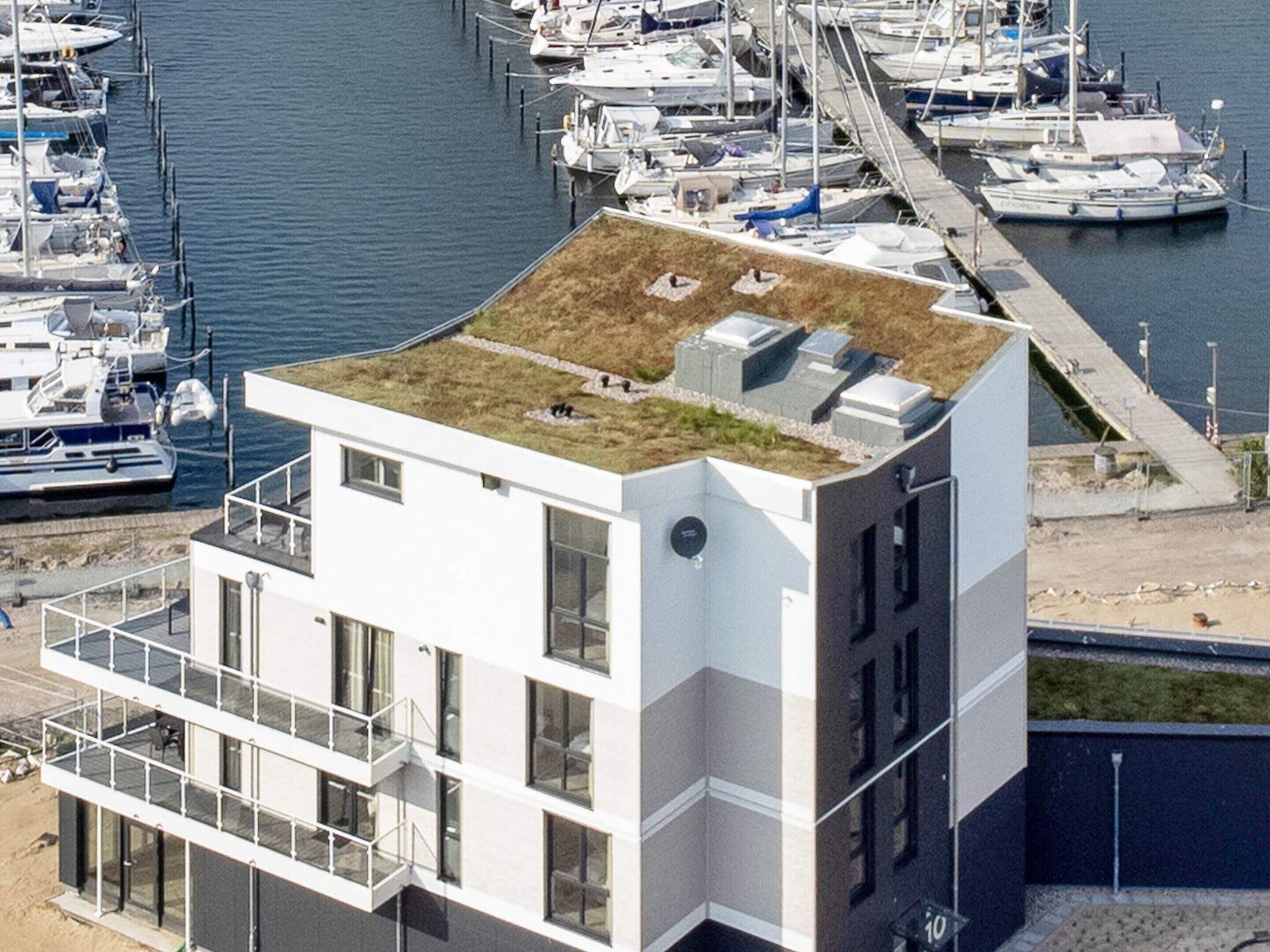 الإطلالة من المنشأة