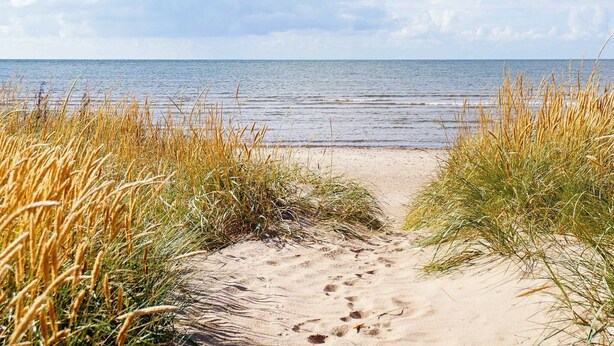 A sandy beach path leading to the sea, surrounded by tall grass. - 5 Person Holiday Home in Glommen-by Traum (Glommen)