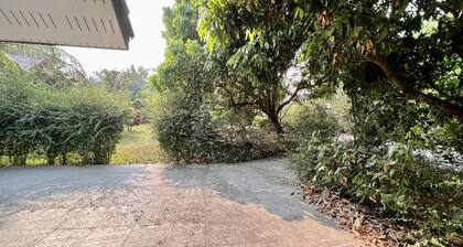 House 1 in Nature Near Tao Garden