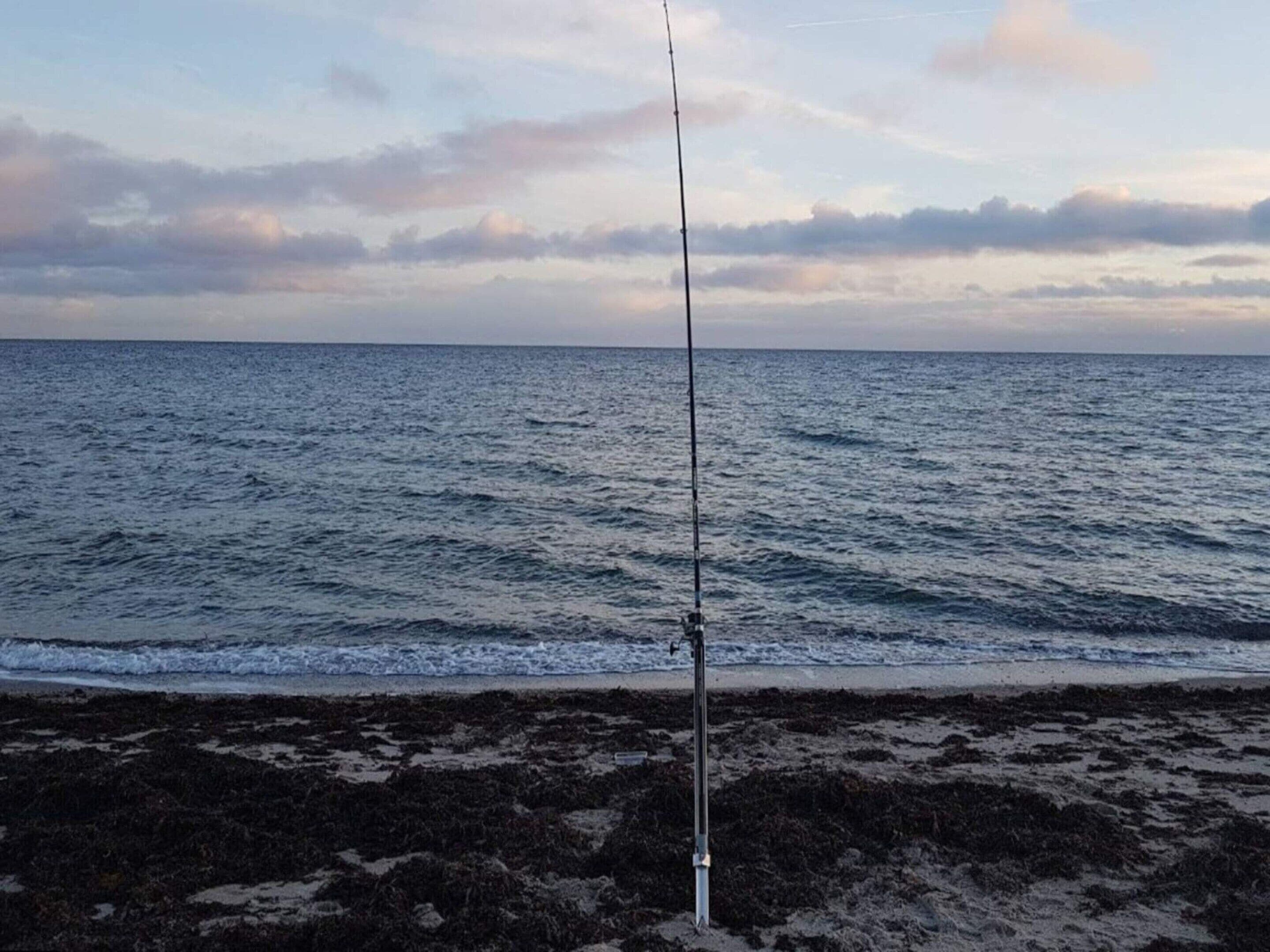 Une canne à pêche sur une plage rocheuse, avec l’océan en arrière-plan.