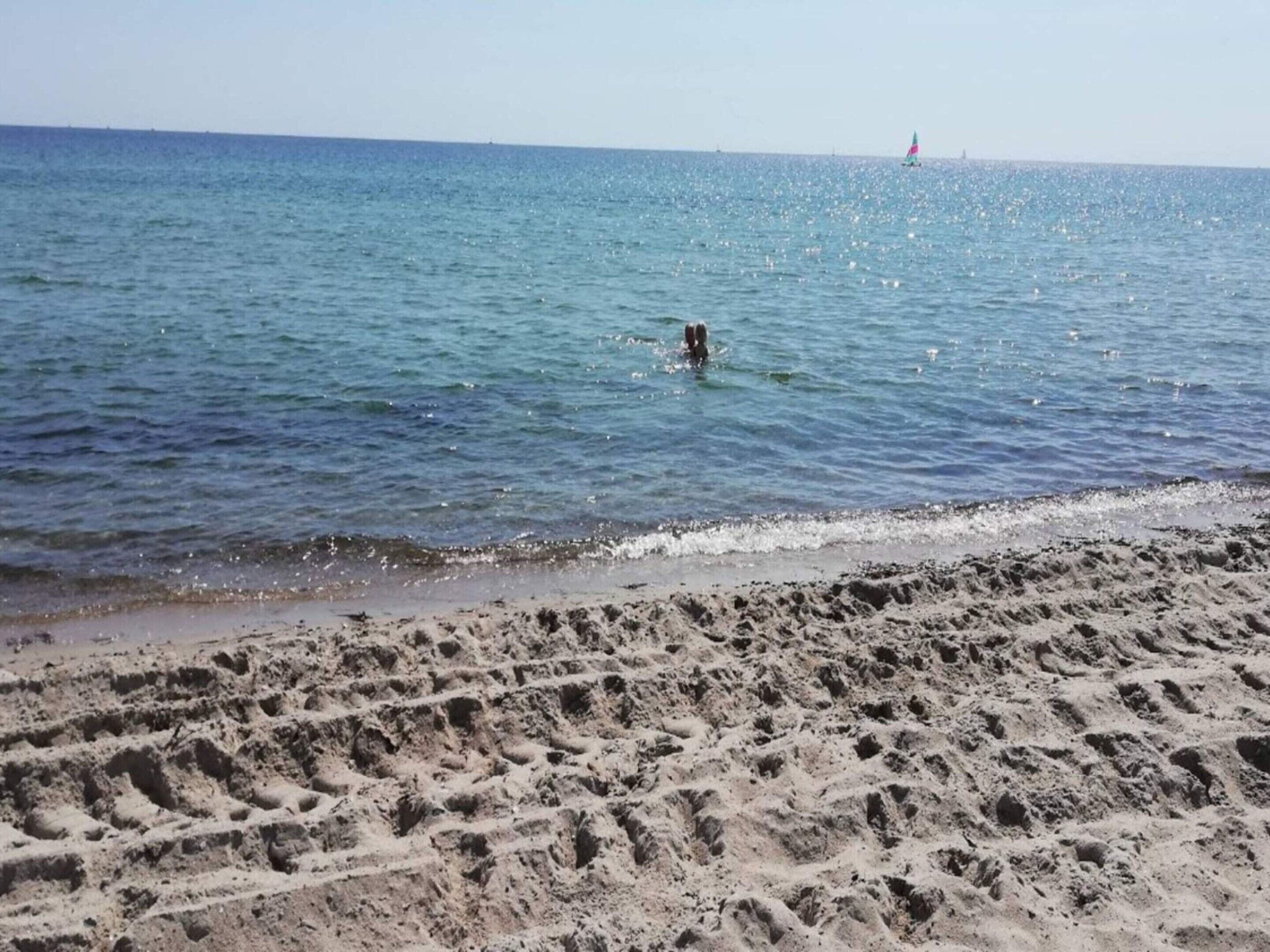 Ein sandiger Strand mit Fußabdrücken, die ins Wasser führen.