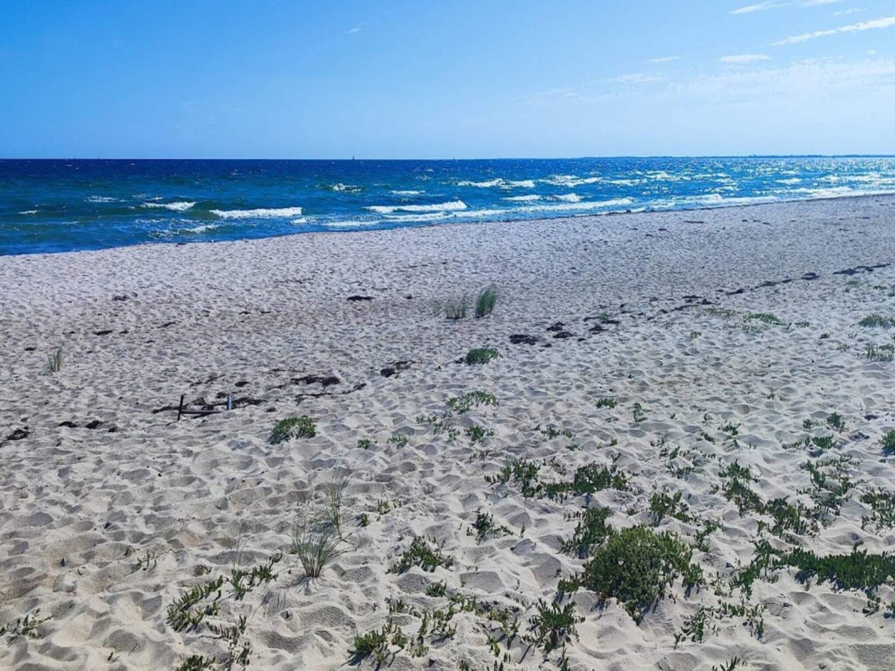 Ein sandiger Strand mit vereinzelter Vegetation und dem Meer im Hintergrund.