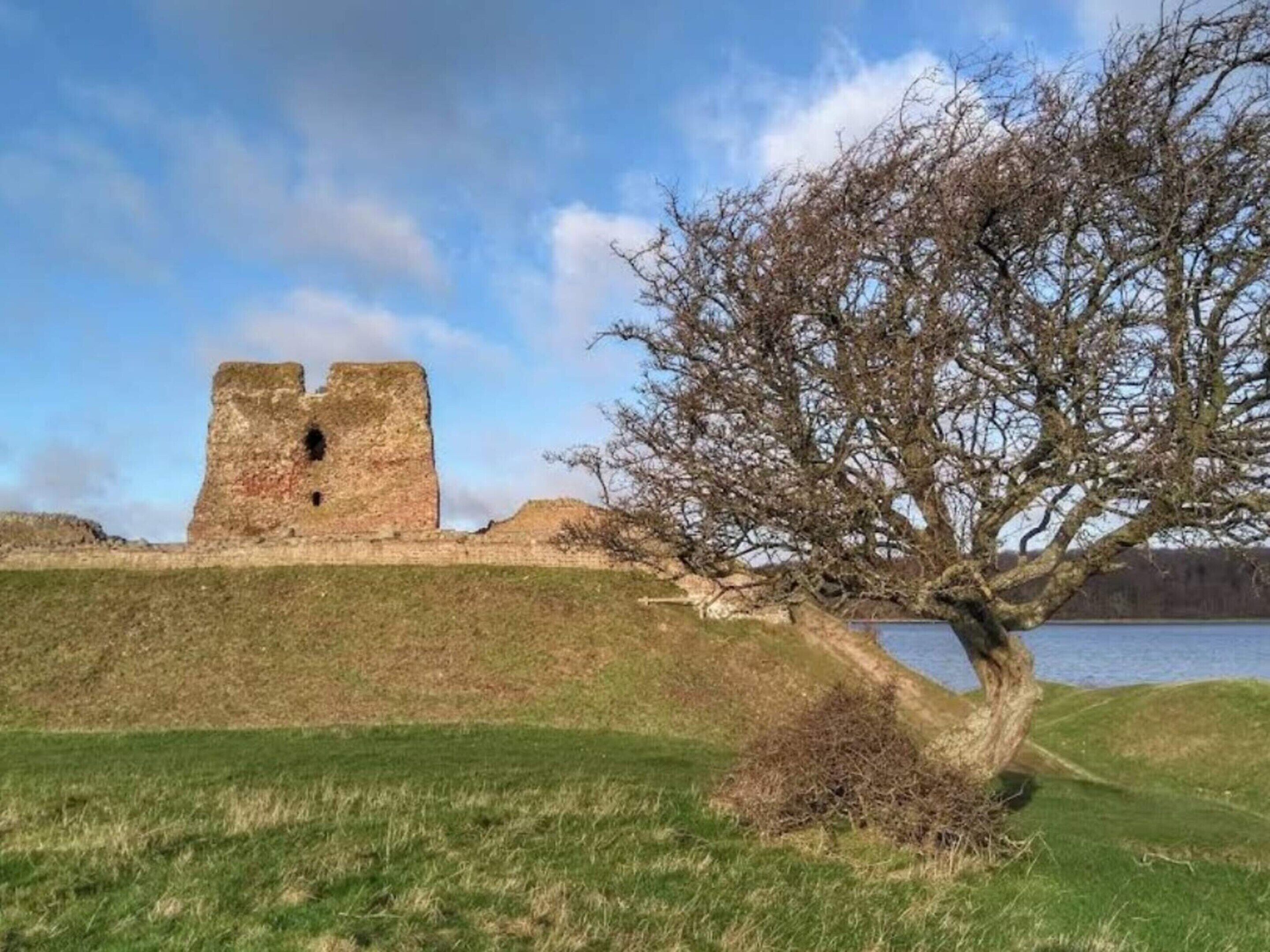 A historic stone structure with a large tree in the foreground.