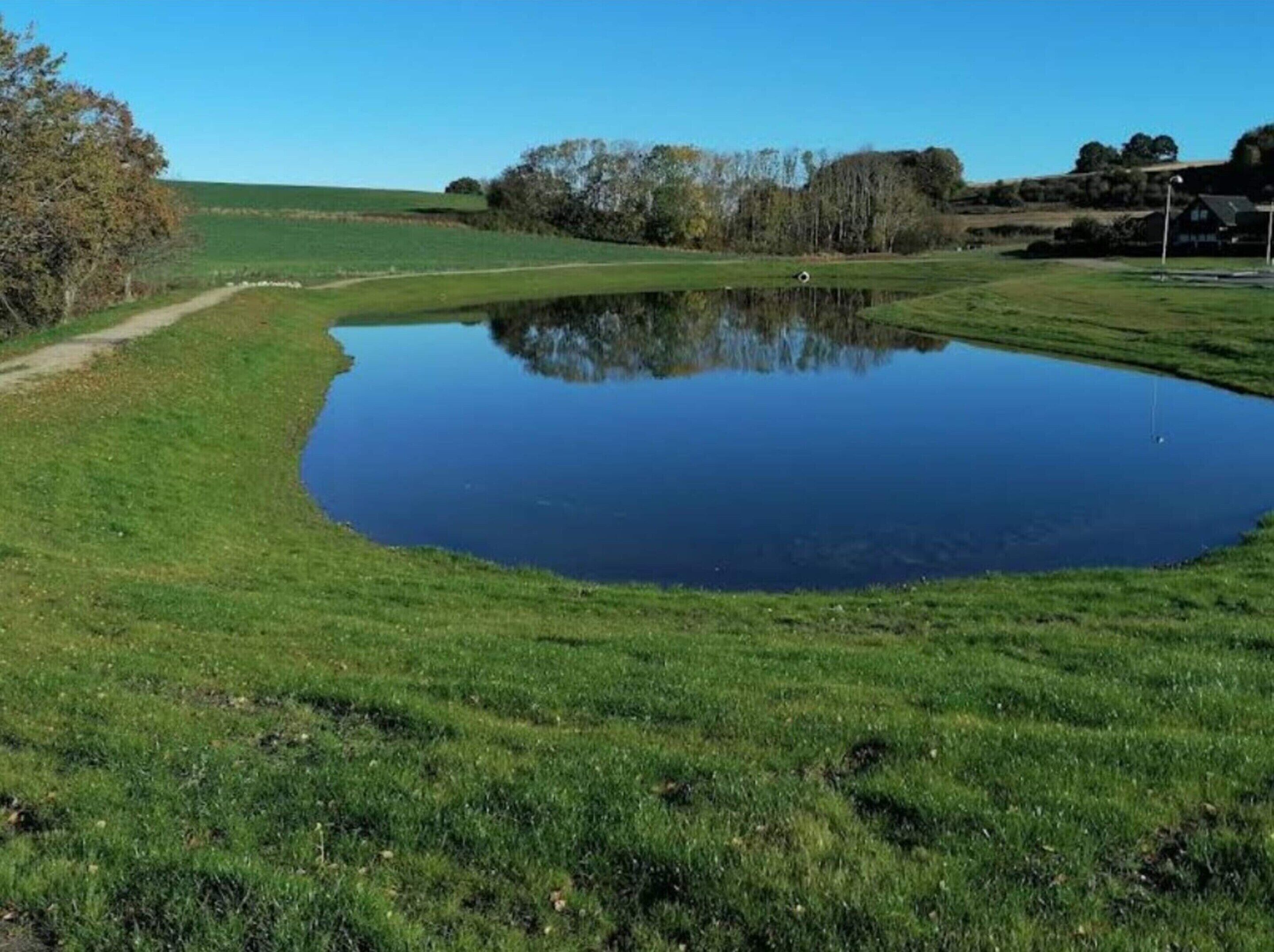 A serene pond surrounded by green grass and trees, with a clear sky above.