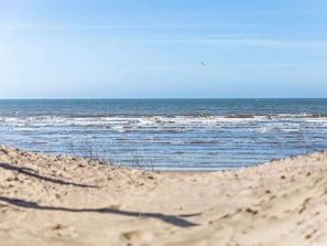 A beach with a clear sky and a bird flying. - 4 Star Holiday Home in Halmstad (Halmstad)