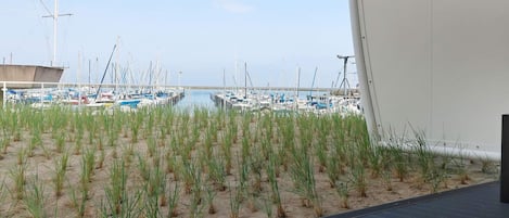 Apartemen | Eksterior