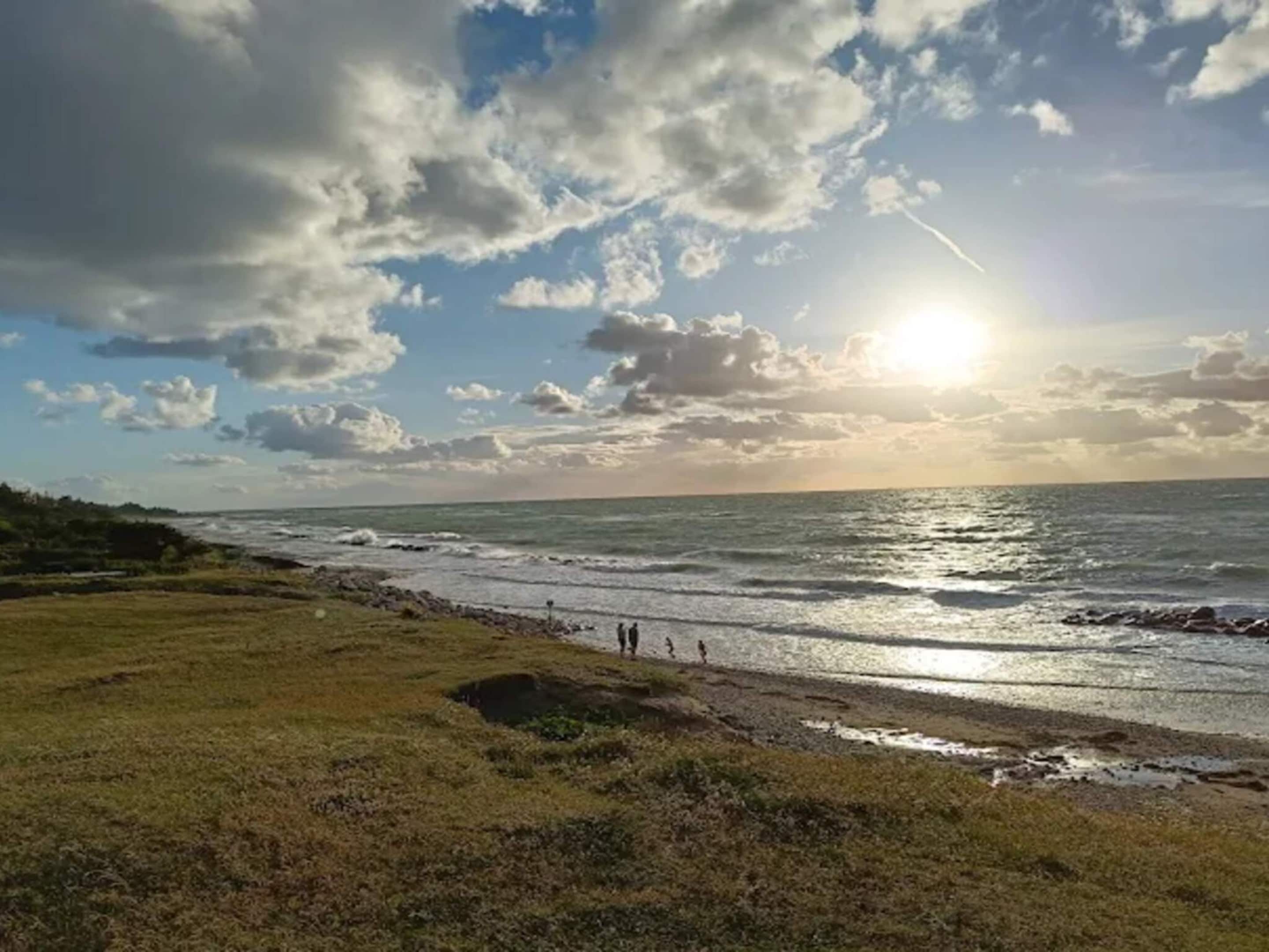 A coastal landscape with a grassy foreground, a rocky shoreline, and the ocean.