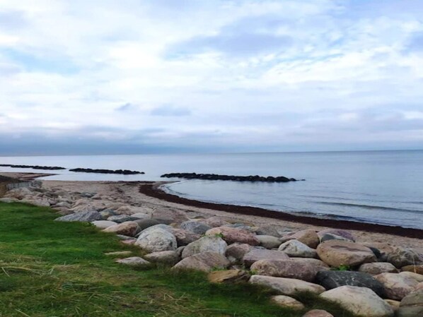 A rocky shoreline with a grassy foreground and a calm sea under a cloudy sky.
