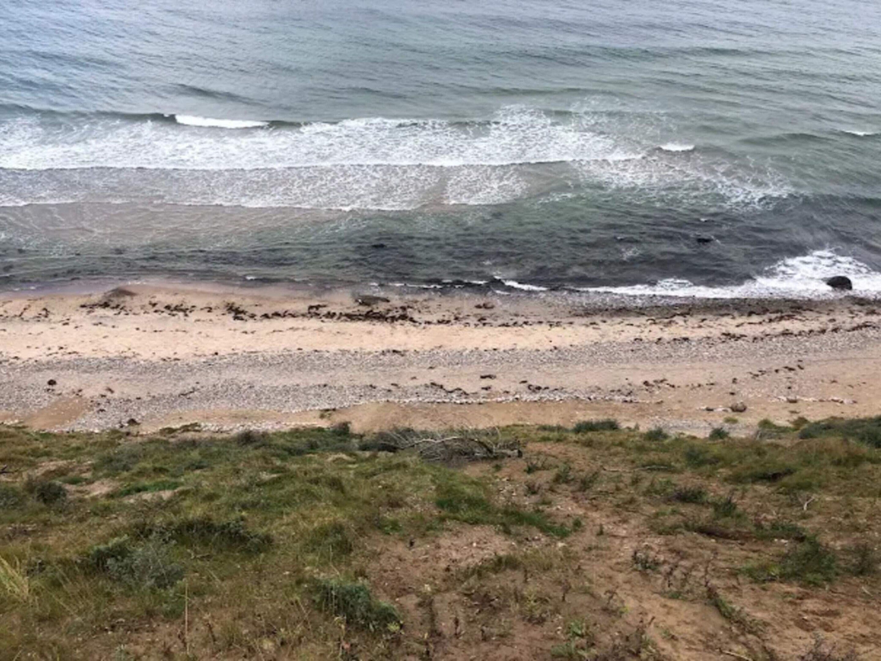 Una playa con olas acercándose a la orilla, piedras y poca hierba.