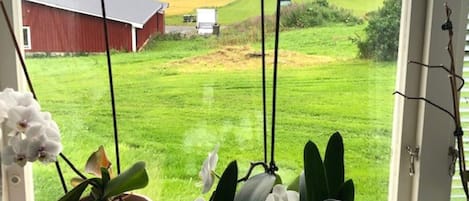 A view through a window with a red barn, green field, and a lake in the distance.