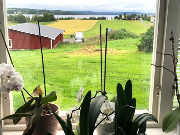 House | Water view - Charming Red Farmhouse Near Forsheda (Krokom)