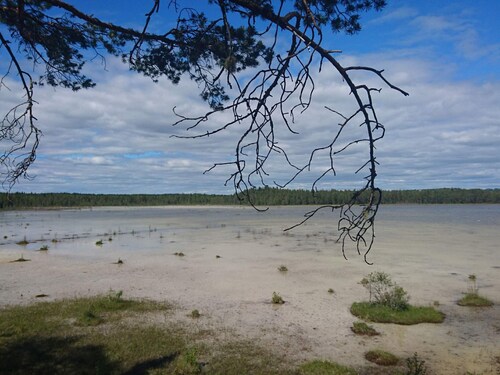 4 Star Holiday Home in Krokom