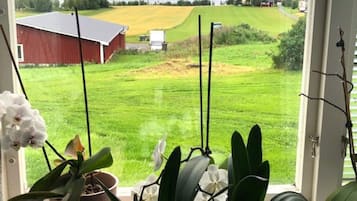 House | Water view