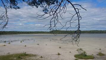 A natural landscape with a body of water, sandy shore, and a forest in the background.