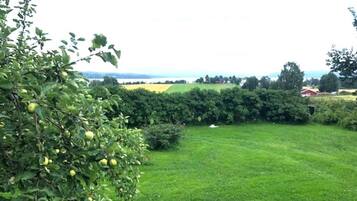 Nhà | Ngoại thất