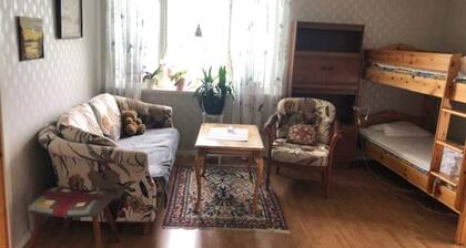 4 Star Holiday Home in Krokom