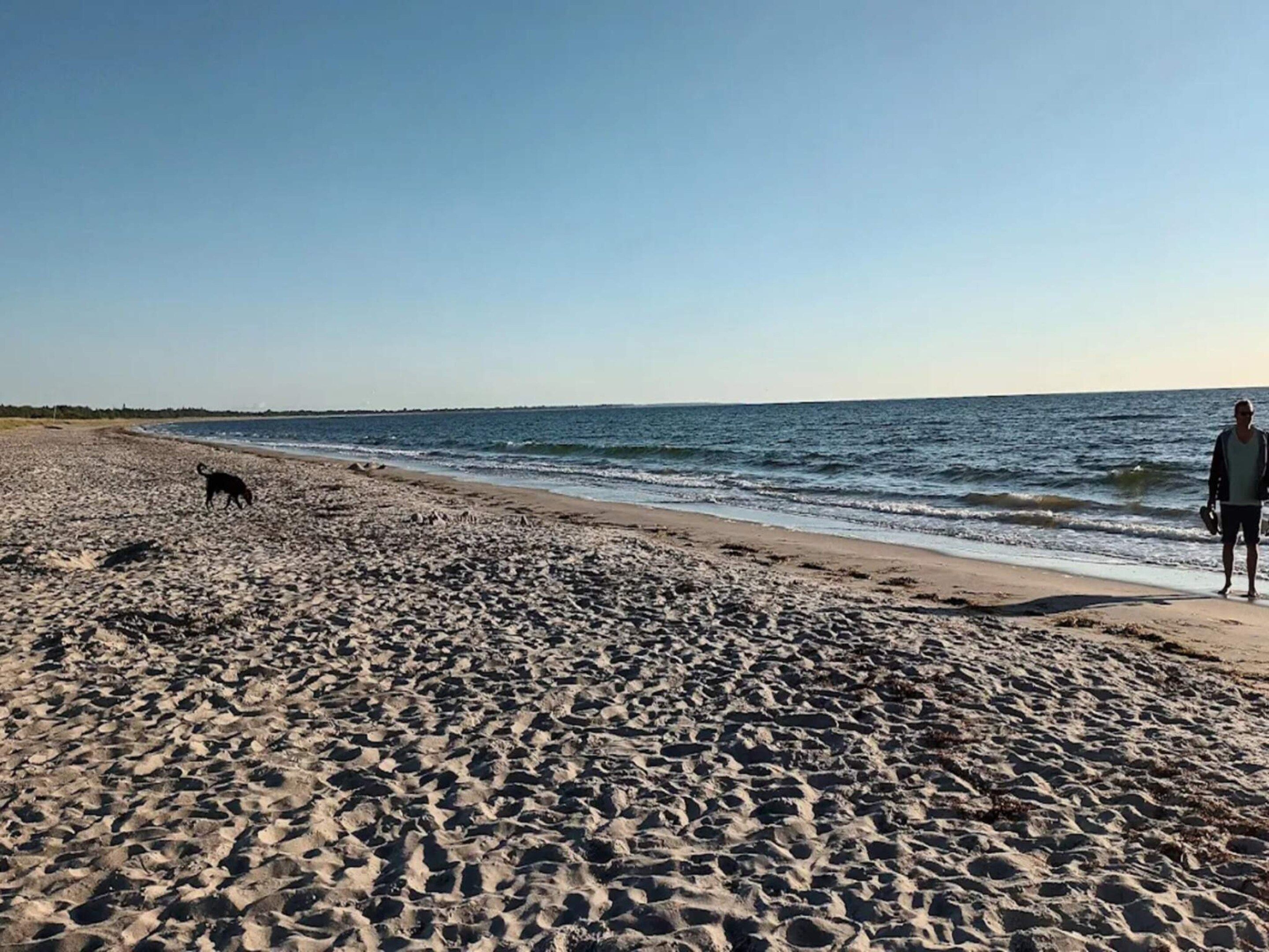 A sandy beach with footprints and a dog, and a person walking along the shore.