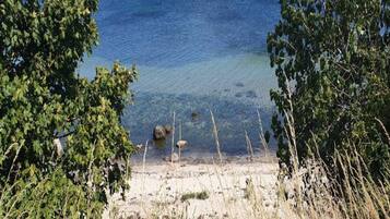 A beach with clear water, surrounded by trees and dry grass.
