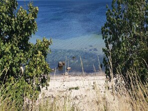 A beach with clear water, surrounded by trees and dry grass. - 4 Star Holiday Home in Vaeggerlose (Vaeggerlose)