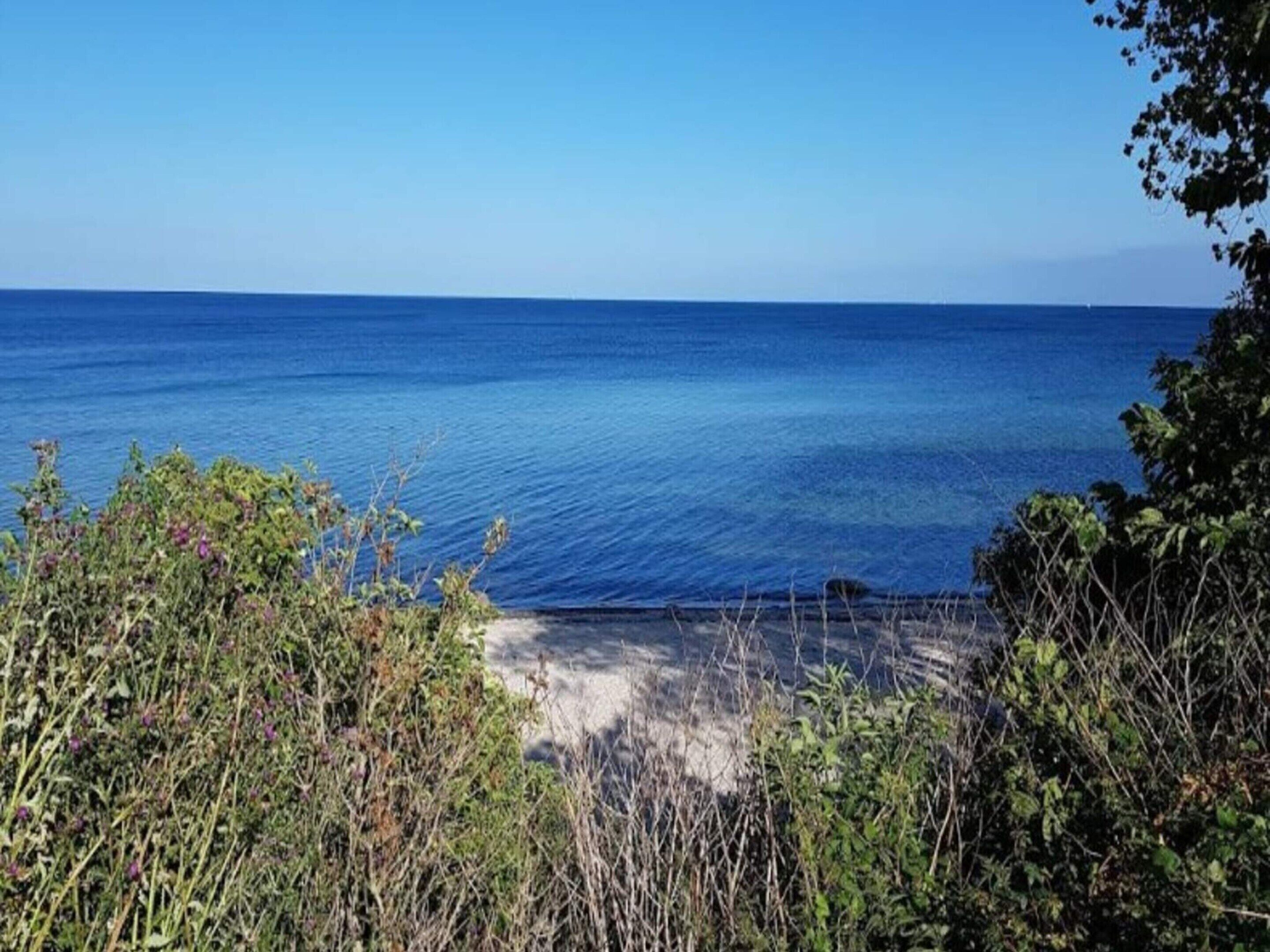 Vista costera con agua azul cristalina y vegetación en primer plano.