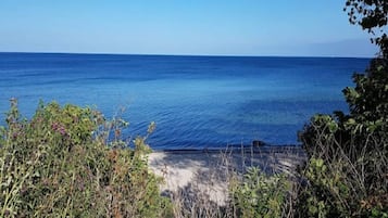 Vista costera con agua azul cristalina y vegetación en primer plano.
