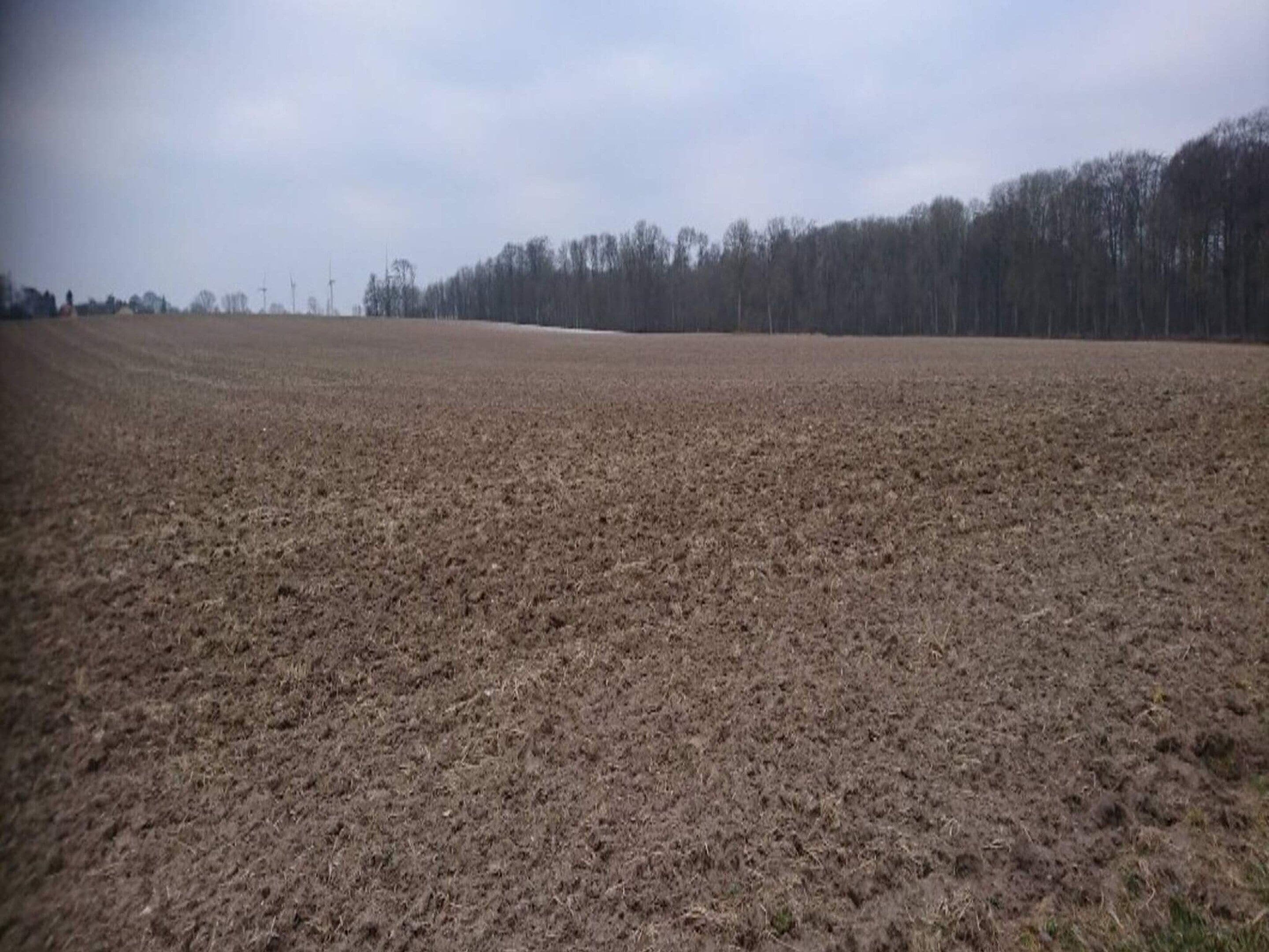 A vast, open field with a line of trees in the distance.