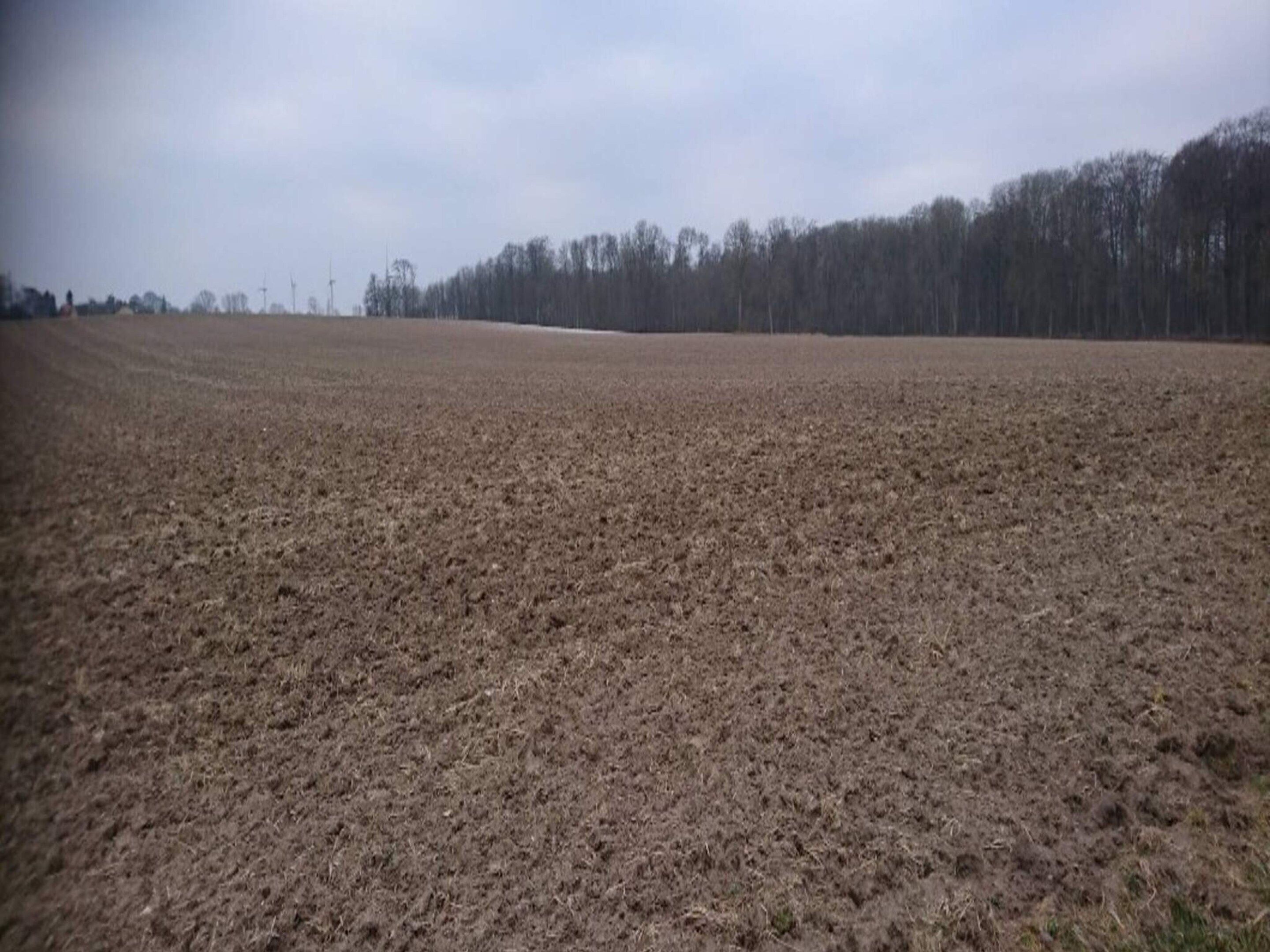 A vast, open field with a line of trees in the distance.