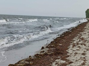 A beach with rough waves and seaweed along the shore. - 4 Star Holiday Home in Vaeggerlose (Vaeggerlose)