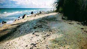 A beach with a sandy shore, scattered rocks, and a grassy area beside the water. - 4 Star Holiday Home in Vaeggerlose (Vaeggerlose)