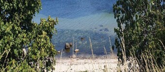 4 Person Holiday Home in Vaeggerlose