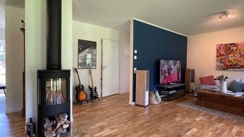 A modern living room with a wood-burning stove, a television, and a sofa.