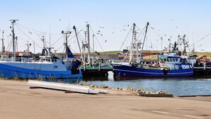 Un port de plaisance où sont amarrés de nombreux bateaux de pêche, un ciel dégagé et une surface d’eau calme.