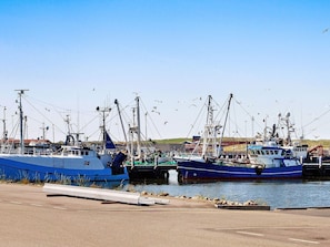 Una marina con diverse imbarcazioni da pesca ormeggiate, cielo sereno e superficie dell'acqua calma.