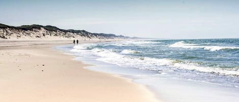 House | Beach