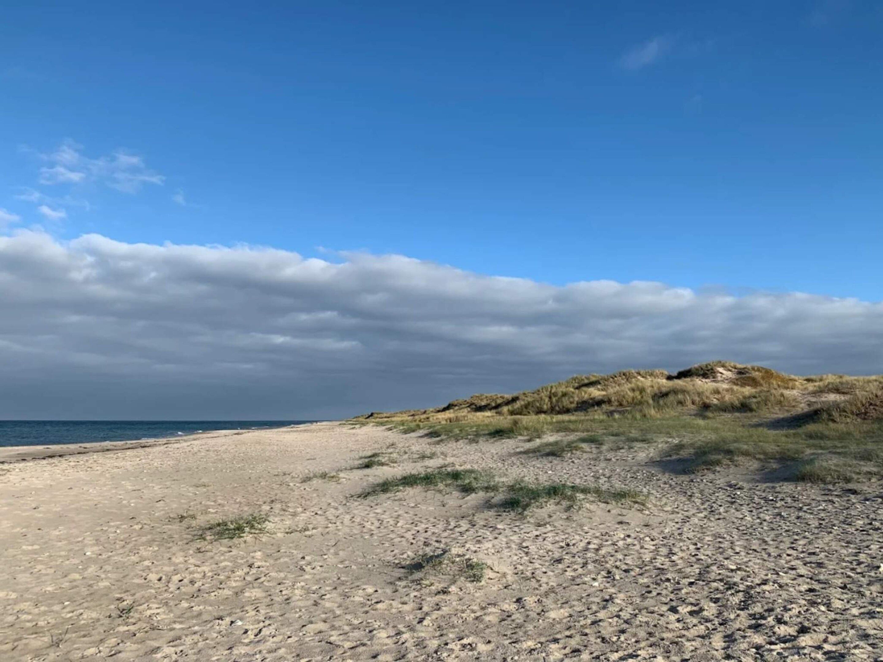 Une plage avec un ciel dégagé et des dunes qui se dessinent à l’horizon.