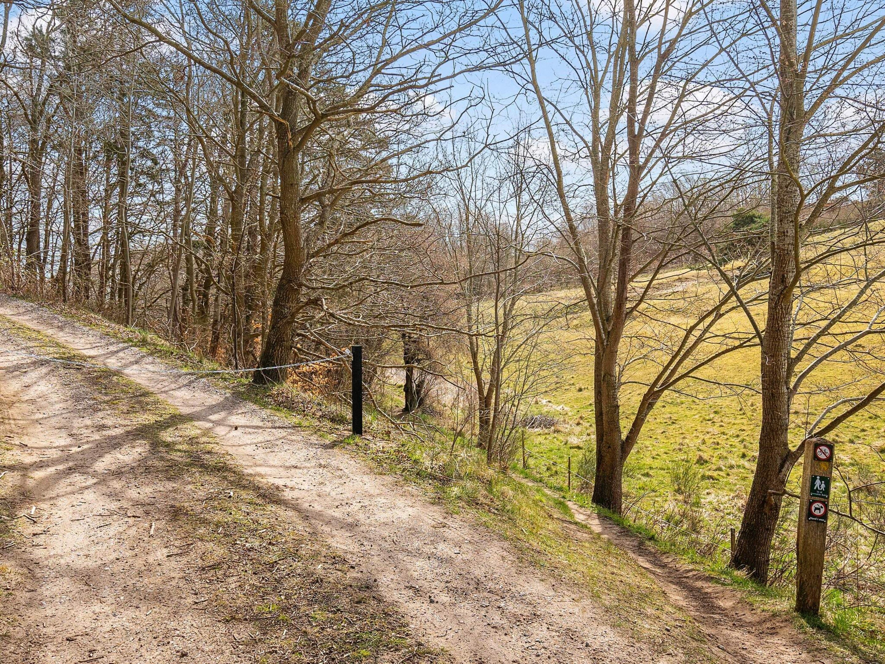 A dirt path leading through a wooded area with a signpost indicating no dogs and no bicycles.