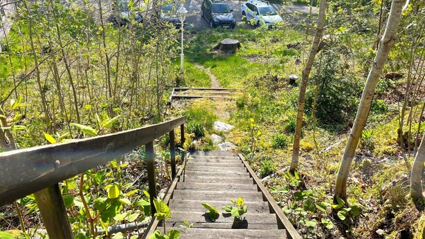 A wooden staircase leading down to a parking area surrounded by greenery.