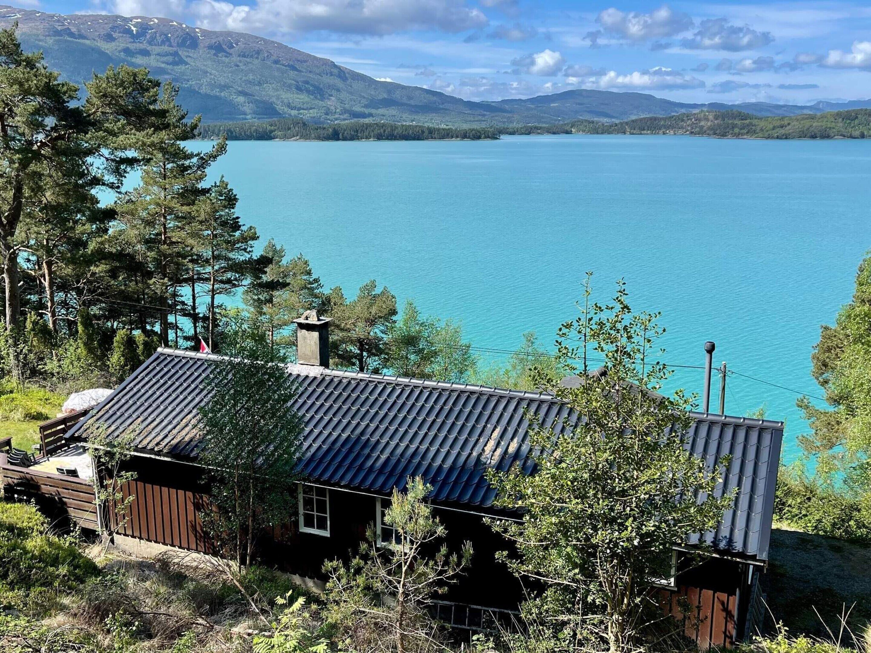 A cabin with a metal roof, surrounded by trees and a lake.