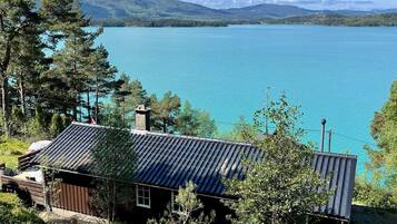 A cabin with a metal roof, surrounded by trees and a lake.