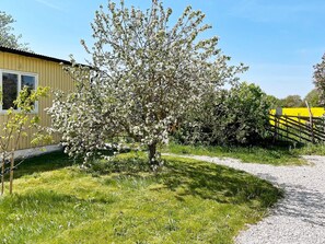A rural property with a gravel path, a yellow building, and a flowering tree.