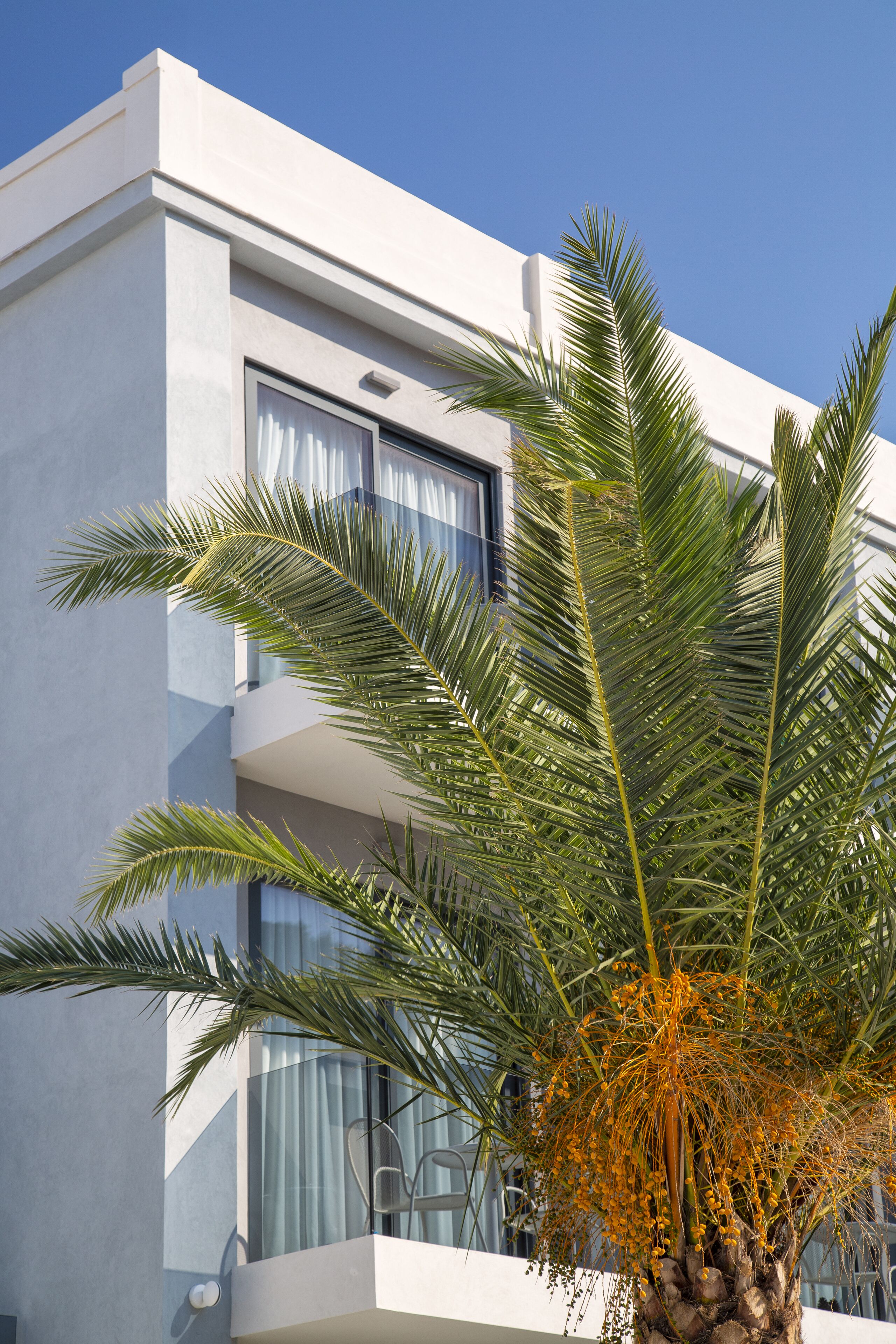 Un edificio moderno con balcones y una palmera con flores anaranjadas.