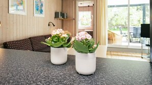 Une cuisine moderne avec des comptoirs en granit, deux plantes en pot, un plafond en bois et une vue sur l’extérieur grâce à une porte-fenêtre coulissante.