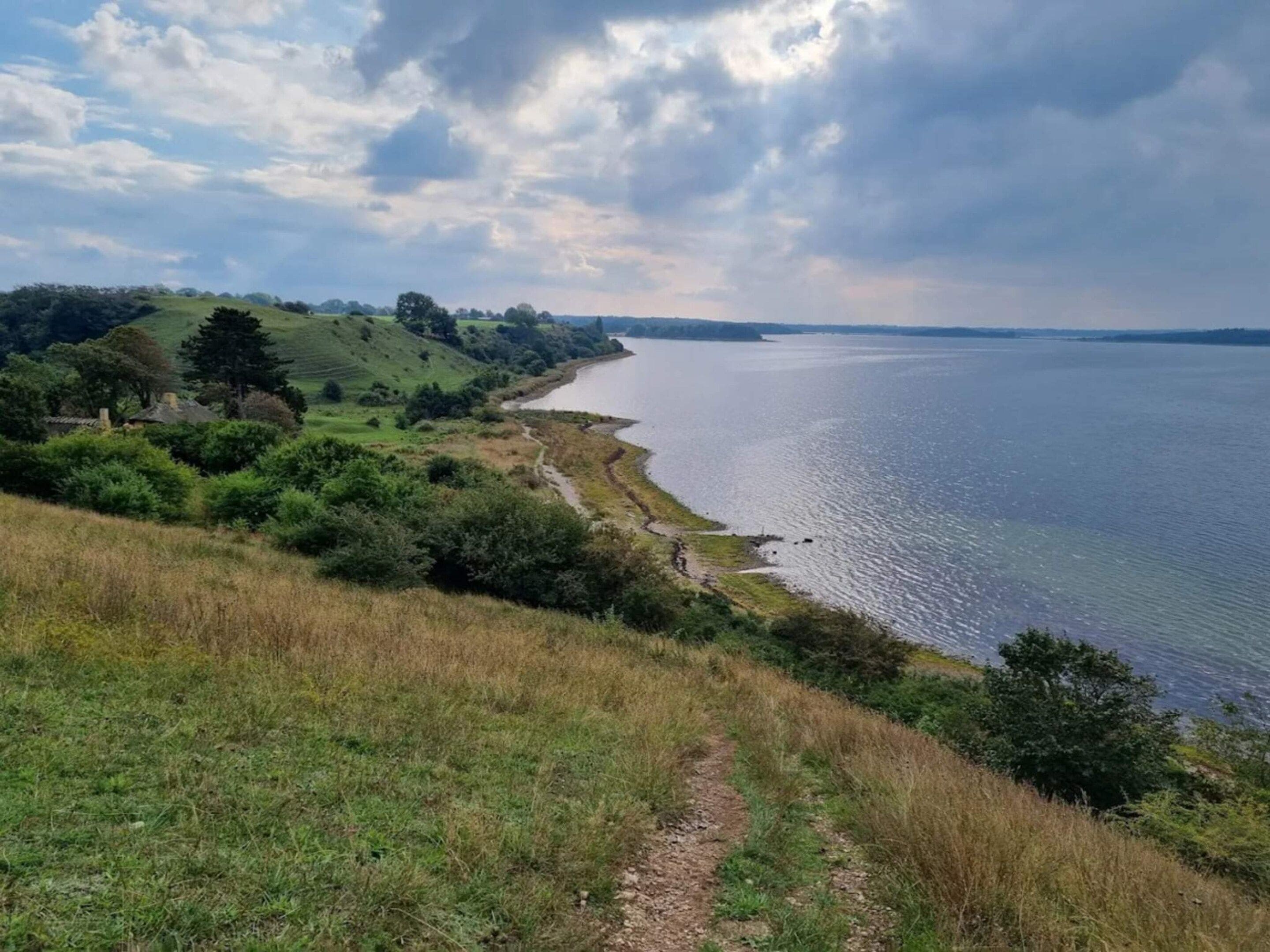A coastal landscape with a grassy path leading to the water's edge, a clear sky, and distant hills.